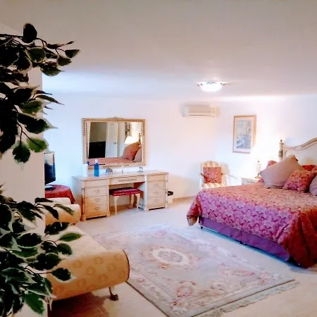 Casa Brabant 5*